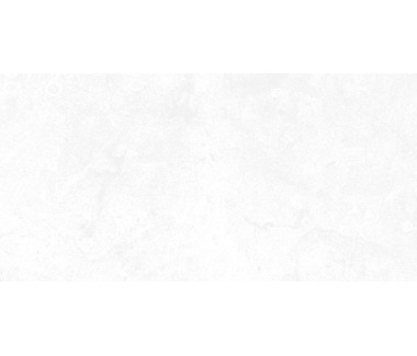 AXIMA плитка настенная МЕГАПОЛИС 250х500мм светло-серая 