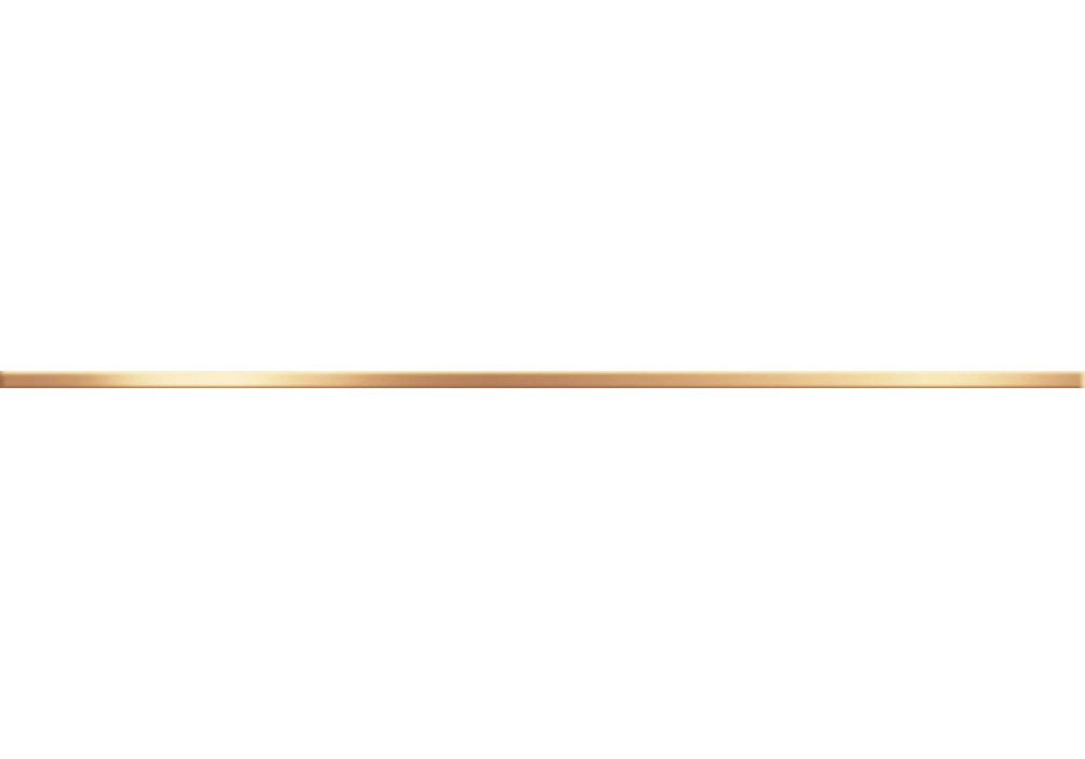 Steel Max Gold